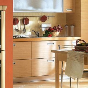 La nordica τζακόσομπα